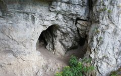 Фото Cheburgenator с сайта wikimedia.org