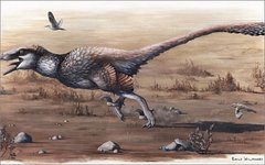 Изображение: Robert DePalma et al. / Paleontological Contributions