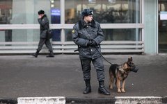 © KM.RU, Алексей Белкин