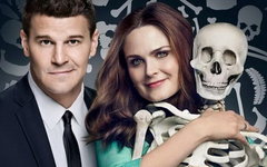 Фрагмент постера сериала «Кости»