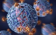Фото: C. Bickel / Science Translational Medicine