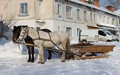 Фото George Chernilevsky с сайта wikimedia.org