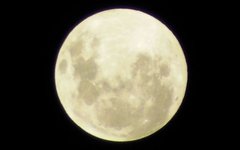 Фото CodeTurner с сайта wikimedia.org