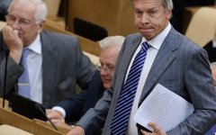 Алексей Пушков © РИА Новости, Владимир Федоренко