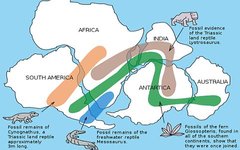Изображение с сайта wikimedia.org