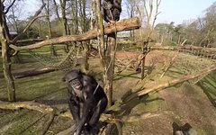 Стоп-кадр из видео в YouTube