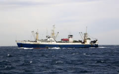 Фото с сайта 41.mchs.gov.ru