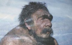 Неандерталец из Мустье, анатом Сольгер. Изображение с сайта wikimedia.org