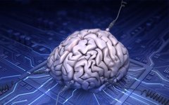 Изображение с сайта sciencesplus.ca