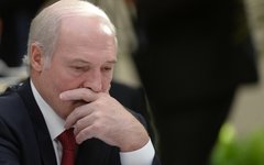 Александр Лукашенко © РИА Новости, Владимир Астапкович