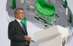 Герман Греф © РИА Новости, Илья Питалев