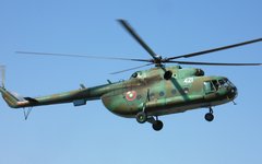 Фото с сайта wartelegraph.ru