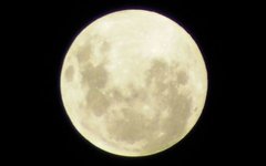 Фото CodeTurner с сайта wikimedia.org