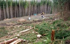 Фото с сайта svoisotki.ru