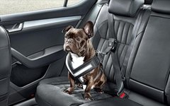 Фото с сайта caradvice.com.au