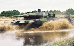 Фото с сайта globallookstock.com