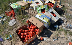 Уничтожение санкционных продуктов © РИА Новости, Виктор Толочко