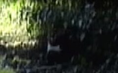 Стоп-кадр из видео в YouTube