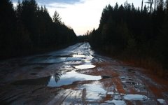 Фото с сайта onf.ru