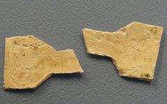 Фото: Veikko Sariola et al, Scientific Reports, 2015