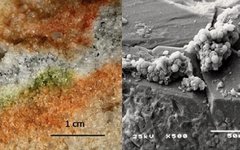 Фото: S.Onofri