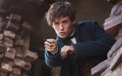 Кадр из фильма «Фантастические звери и места их обитания»