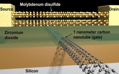 Изображение: Sujay Desai / Berkeley Lab