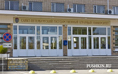 Фото с сайта pushkin.ru