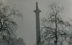 Фото N T Stobbs с сайта wikimedia.org