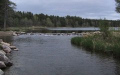 Фото с сайта wikimedia.org
