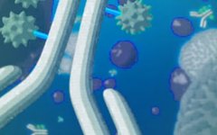Изображение с сайта roche.com