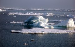 Фото с сайта arctic.noaa.gov