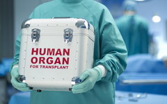 Фото с сайта benefit-medic.ru