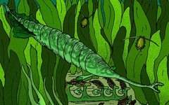 Изображение: Stanton F. Fink / Wikipedia