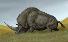 Изображение с сайта wikimedia.org
