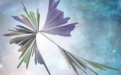Изображение: Zosia Rostomian / Lawrence Berkeley National Laboratory