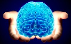 Фото с сайта techandfacts.com