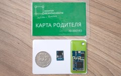 Фото с сайта tsu.ru