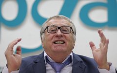 Владимир Жириновский © KM.RU, Алексей Белкин