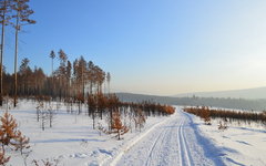 Фото с сайта pixabay.com