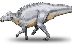 Telmatosaurus. Фото Debivort с сайта wikimedia.org