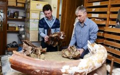 Фото с сайта tsu.ru