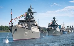Фото с сайта wikimedia.org