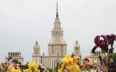 Фото с сайта msu.ru