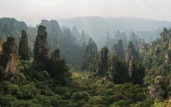 Фото chensiyuan с сайта wikimedia.org