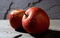 Фото Scott Bauer с сайта wikimedia.org