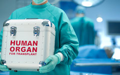 Фото с сайта Bioethics.com