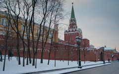 Фото с сайта Pixabay.com