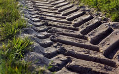 Фото с сайта pixabay.com