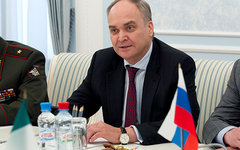 Фото с сайта wikipedia.org 